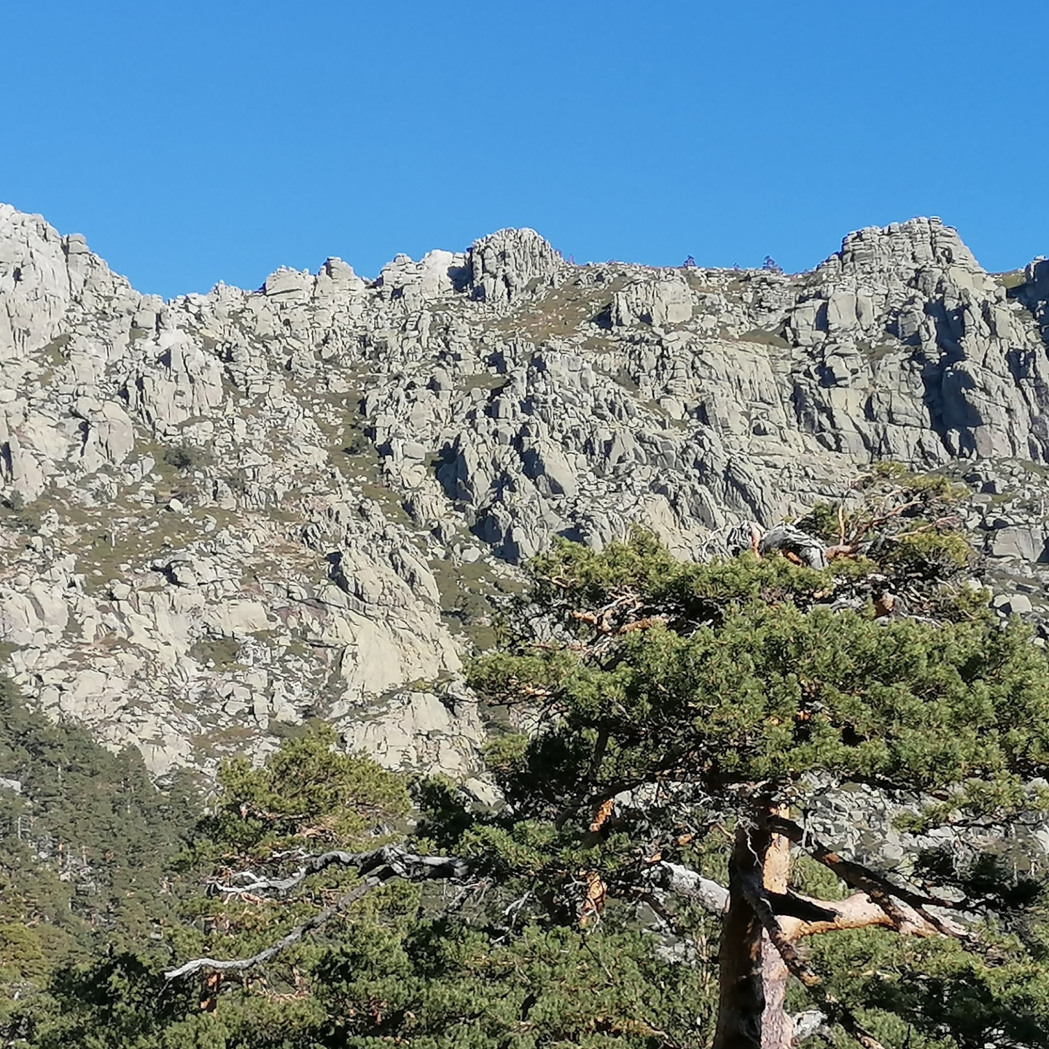 Cabecera Circular Siete Picos