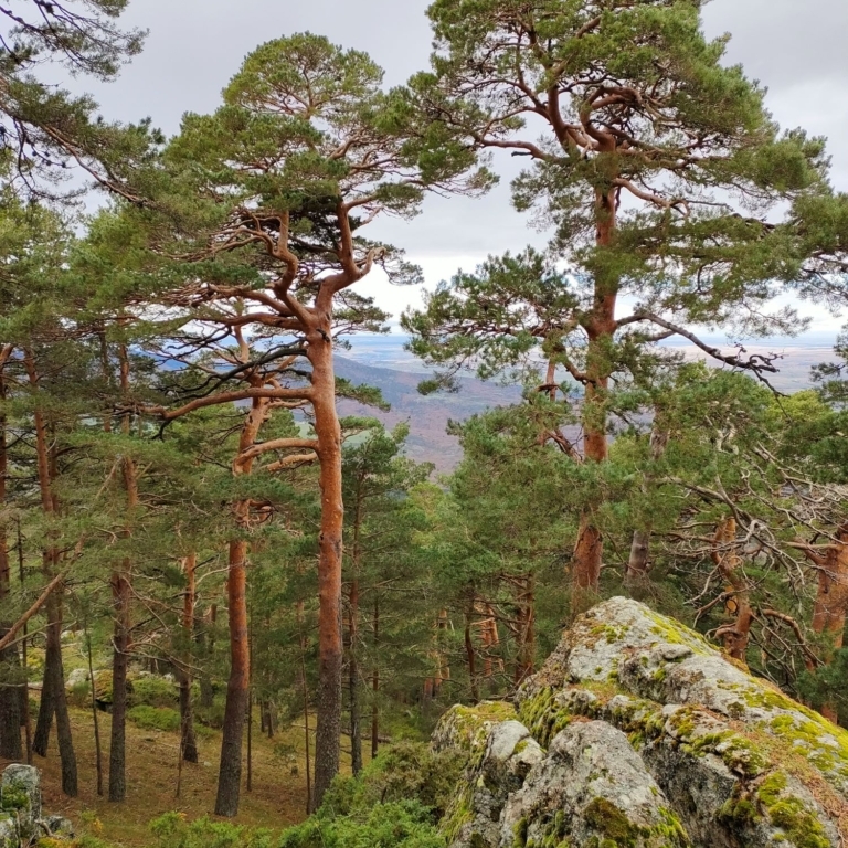 IMG20221206131642_ baja