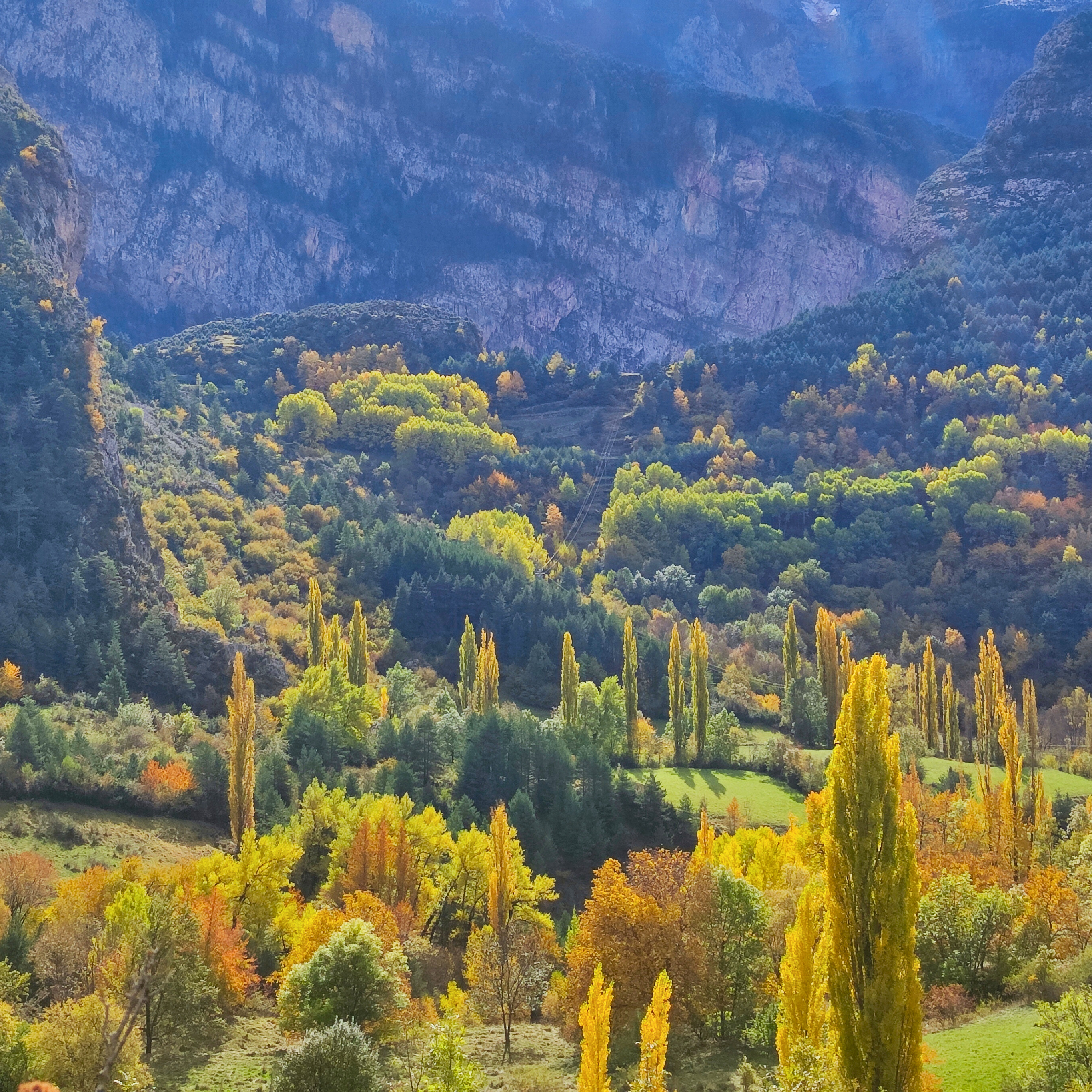 cabecera puentes otoño